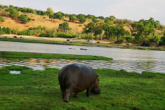 Namibija, Botsvana in Viktorijini slapovi