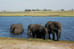 Namibija, Botsvana in Viktorijini slapovi