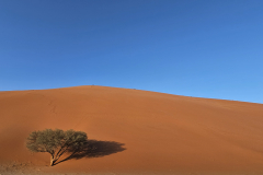 Brezčasnost puščave Namib