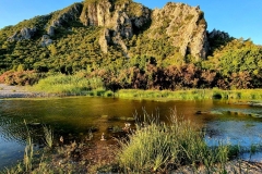 Turčija-Olimpos.-jutranji sprehod