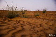 Primož-Oblak-Oman-Omanska-pravljica