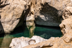 Primož-Oblak-Oman-Omanska-pravljica