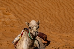 Primož-Oblak-Oman-Omanska-pravljica