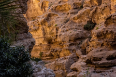 Primož-Oblak-Oman-Omanska-pravljica