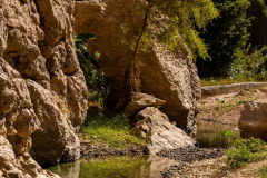 Primož-Oblak-Oman-Omanska-pravljica