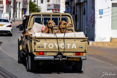 Primož-Oblak-Oman-Omanska-pravljica