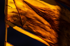 Primož-Oblak-Oman-Omanska-pravljica