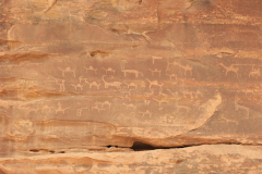 Wadi Rum - petroglifi