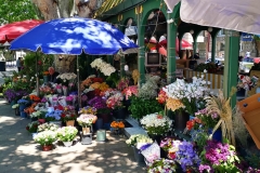 Poletna Gruzija in Armenija