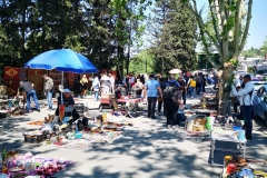 Poletna Gruzija in Armenija