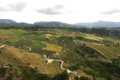 Ronda - razgled na rodovitno okolico