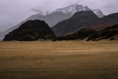 Pakistan - puščava Sarfaranga - Skardu