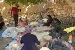 Peka lamasha, zaloga za tri tedne (Harram)