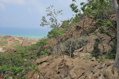 Sokotra