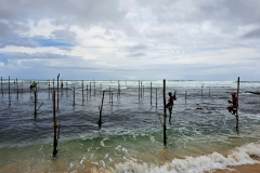 Slavni ribiči na kolih.-Le kaj so ujeli danes?