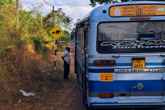 Sloni na cesti.-Znak nekje na poti.