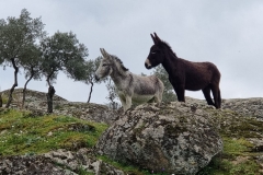 Turčija-Bafa-ko se srečata dve resničnosti