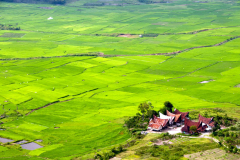 Sumatra - riževa polja