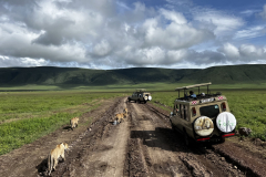 Naša odprava med kralji živali