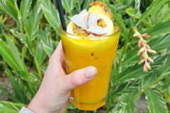 Pokušina koktajlov iz lokalnega ruma. Destilarna Takamaka ruma na otoku Mahe.