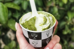 Apulija-gelato pistacija