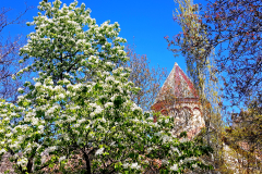 Vzhodna Turčija-Išhan-gruzijska katedrala sredi ničesar