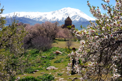 Vzhodna Turčija-Akdamar-cvetoči raj mandljev na jezeru Van