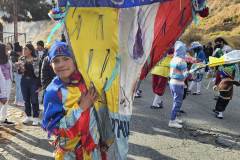 Venezuela-Doživeta Venezuela-Lokalni venezuelski deček z zastavo