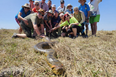 Venezuela-Doživeta Venezuela-Oskarjevci in anakonda