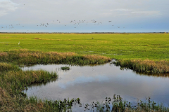 Venezuela-Los Llyanos-Čudovita narava
