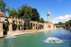 Vzhodna Turčija-Šanliurfa-mesto prerokov in izjemnih energij-sveto mesto