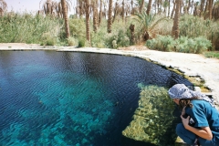 Zahodna puščava-naravni bazen