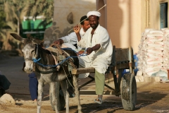 Zahodna puščava-še en dan v oazi