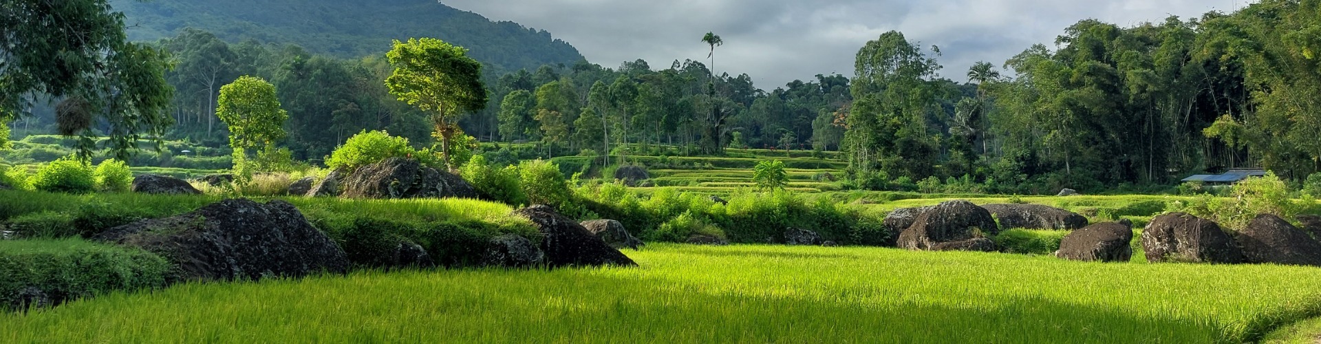 Indonezija – Sulawesi – Otok moči in čutenja