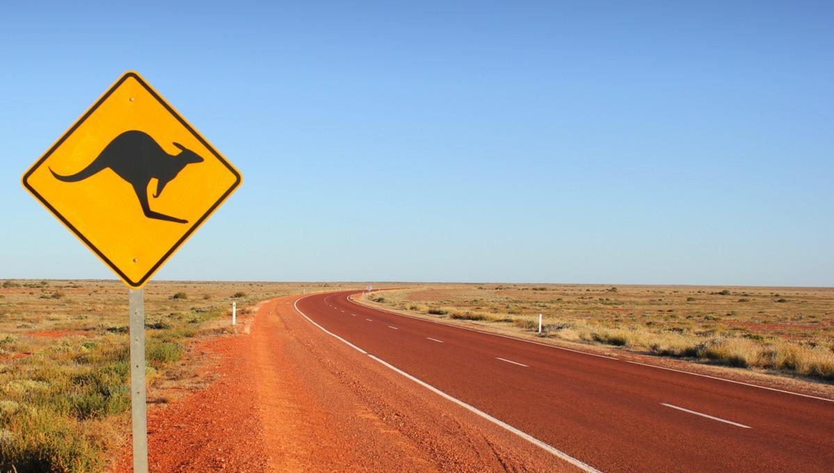 Avstralija-Puscavska cesta-Kenguru znak