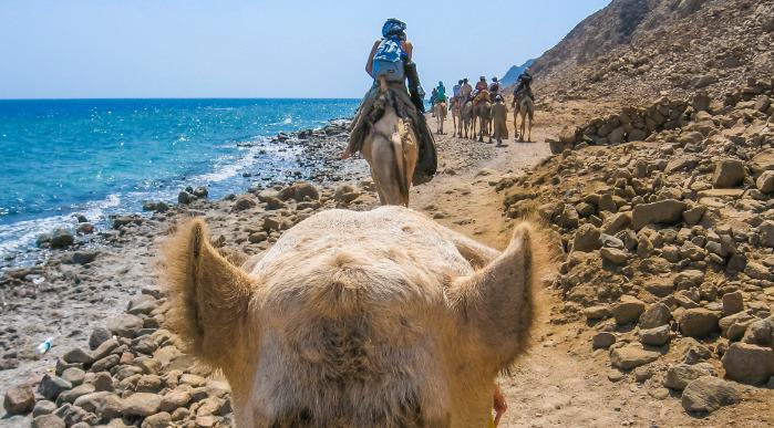 Egipt-Dahab-morje iz kamele