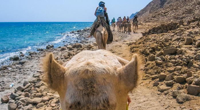 Egipt-Dahab-morje iz kamele