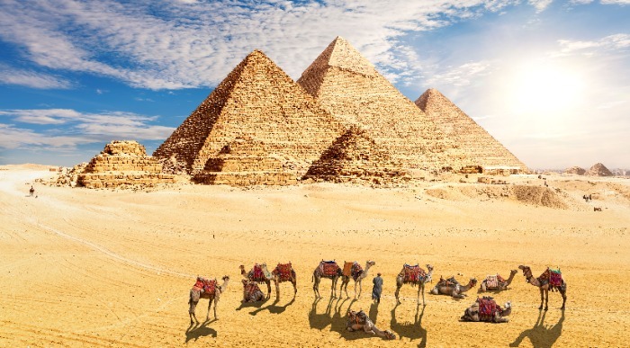 Kamele počivajo na puščavskem pesku pred piramidami v Gizi pod modrim nebom