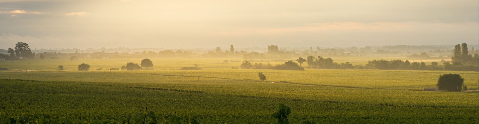V srce Francije – Burgundija