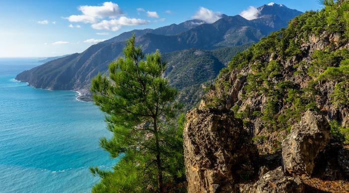 Z borovci in zelenjem porasla gorata obala otoka Kreta