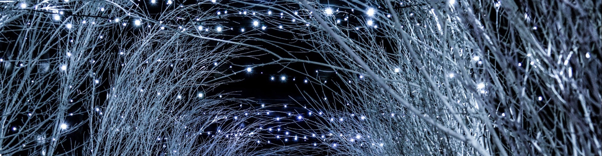 Božični čar Zagreba