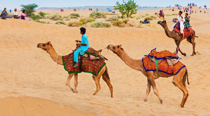 V puščavi se sprehajajo pisano oblečene kamele z jahači na hrbtu. 