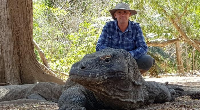 Velikanski komodoški varan v svojem naravnem okolju.
