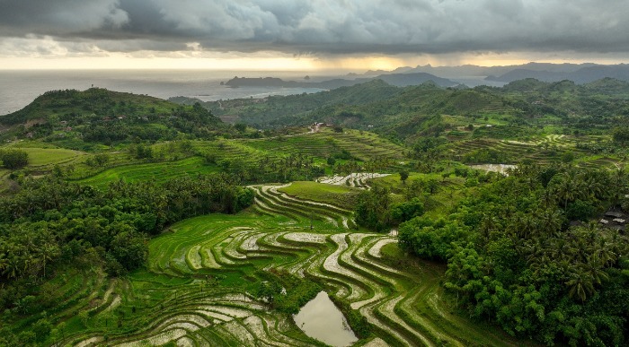 shutterstock_2286161061