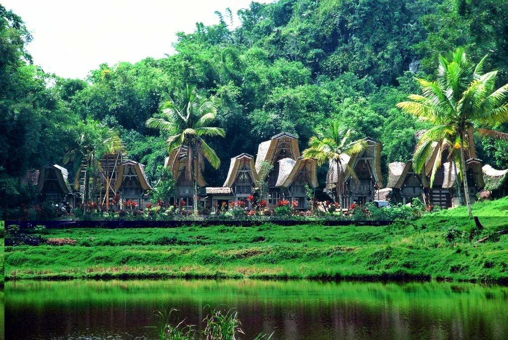 Tradicionalna vasica Toraja v srcu zelene narave. 