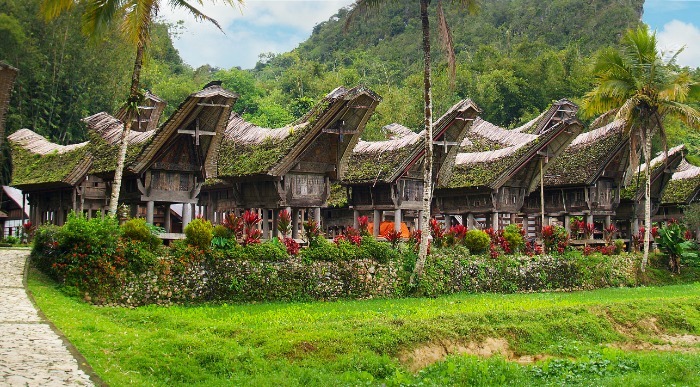 Indonezija Tana Toraja-togkonan housesM