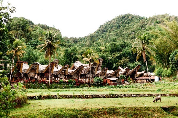 Indonezija-tana-toraja-traditional-village