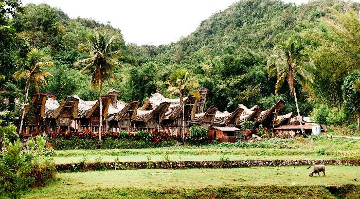 Indonezija-tana-toraja-traditional-village