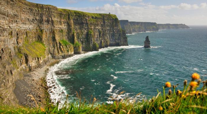 Bujno rastje popestri večinoma skalnate Moherske klife. 