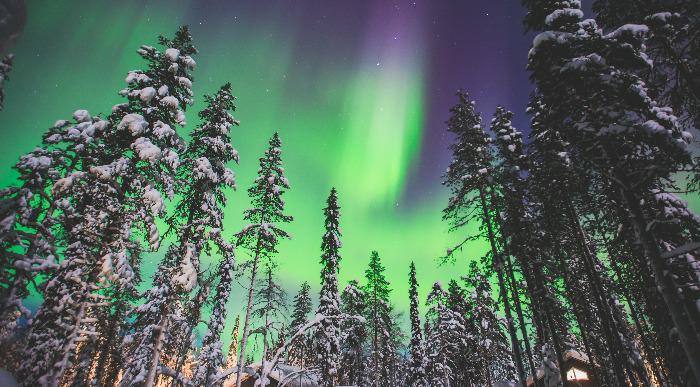 Čarobne zelene barve polarnega sija nad zasneženim gozdom na Islandiji. 